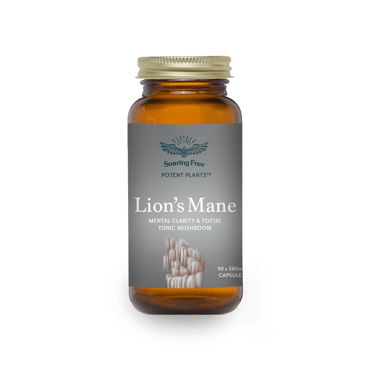 Soaring Free Potent Plants - Lion's Mane Mushroom Capsules - Vita Wellness