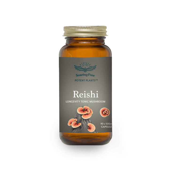 Soaring Free Potent Plants - Reishi Mushroom Capsules - Vita Wellness