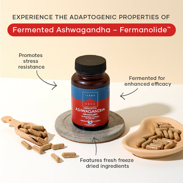 Terranova Fermented Ashwagandha – Fermanolide™ | 50 Capsules