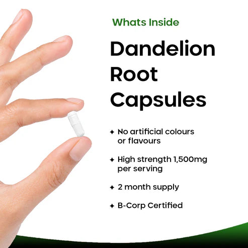 New Leaf Dandelion Root - 120 Capsules