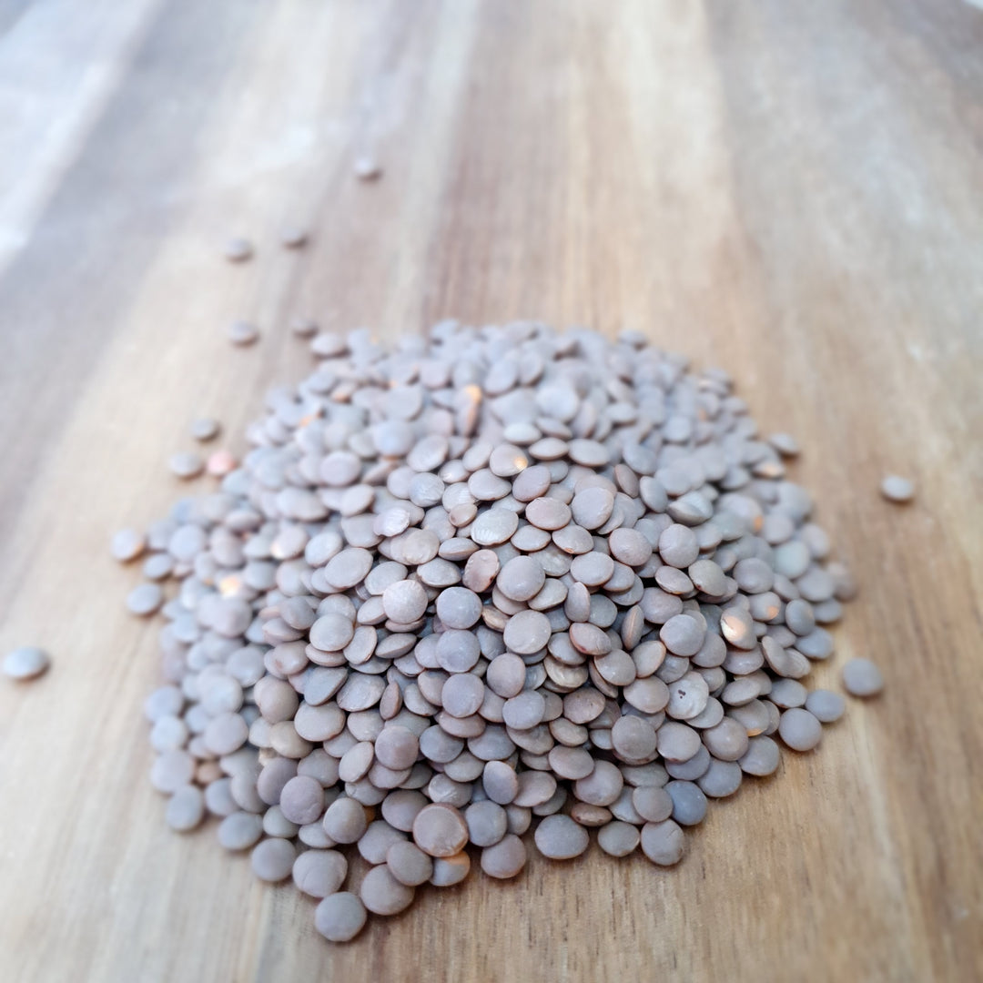 Whalecoast - Lentils Whole Brown 500g