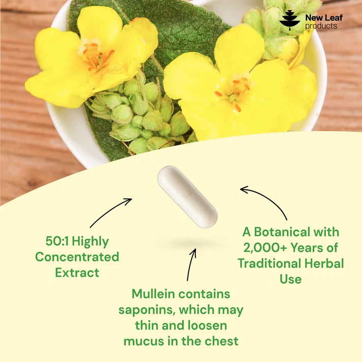 New Leaf Mullein Leaf – 120 Capsules