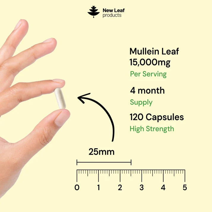 New Leaf Mullein Leaf – 120 Capsules