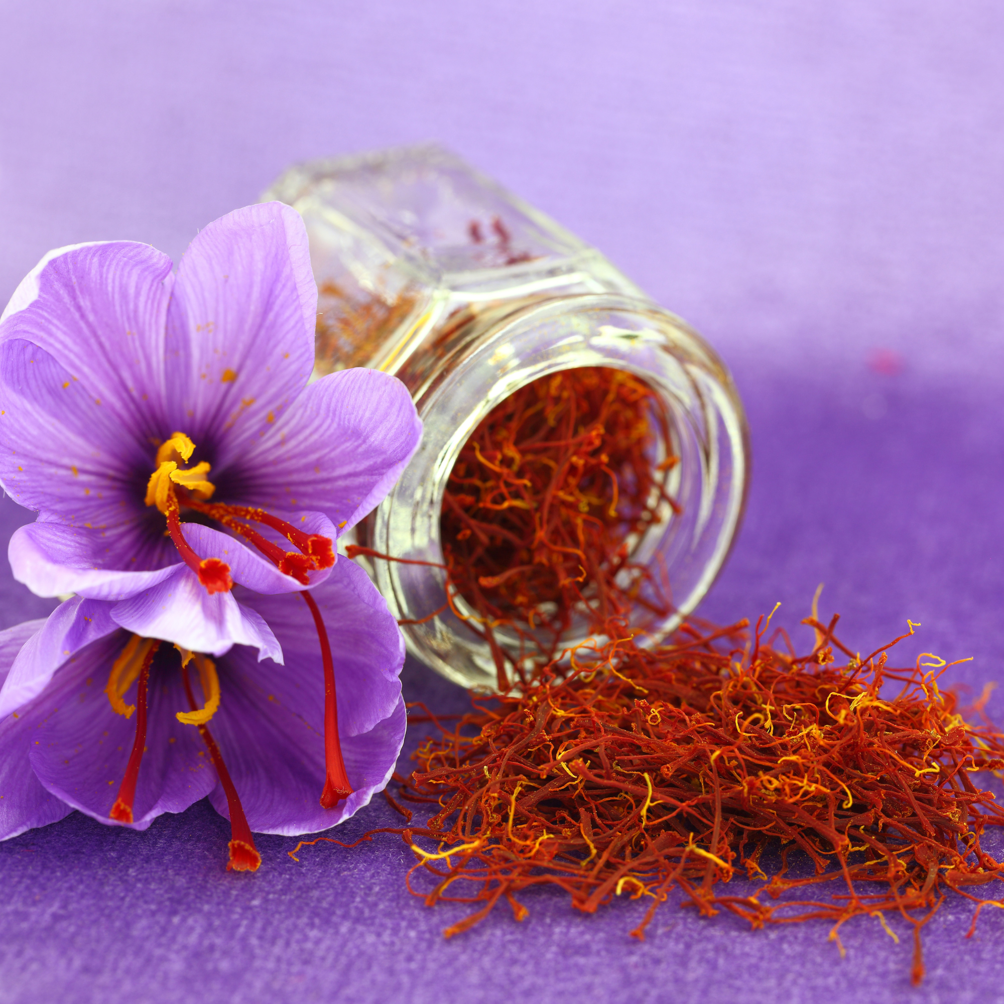 Whalecoast - Saffron 1g – Vita Wellness