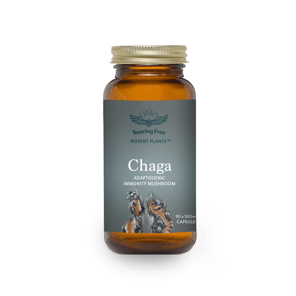 Soaring Free Potent Plants - Chaga Mushroom Capsules - Vita Wellness