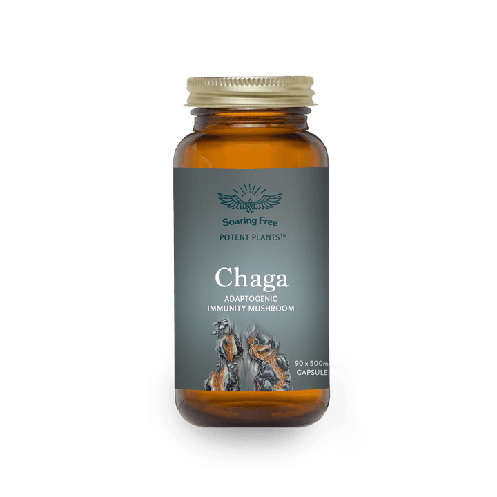 Soaring Free Potent Plants - Chaga Mushroom Capsules - Vita Wellness