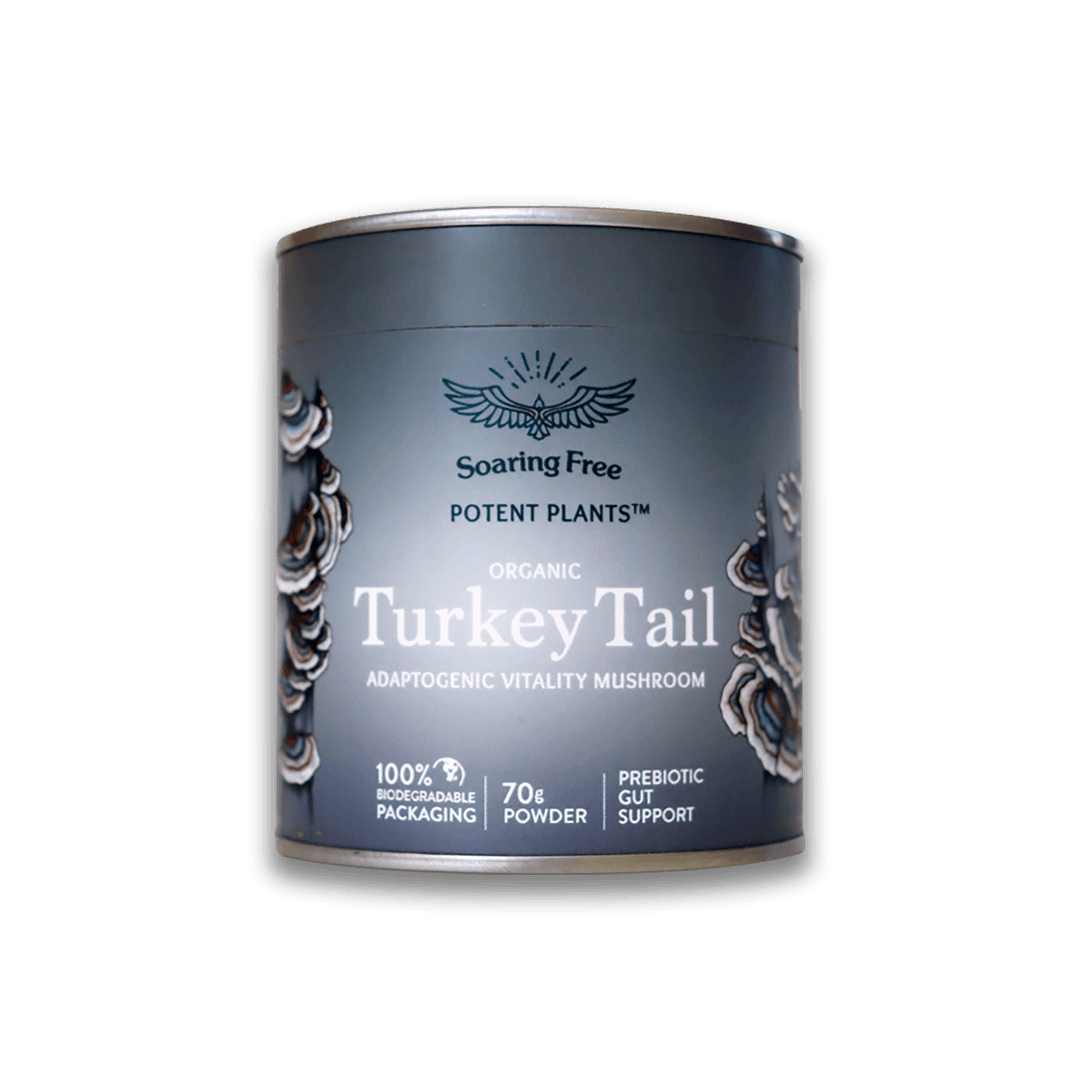 Soaring Free Potent Plants - Turkey Tail Powder - Vita Wellness