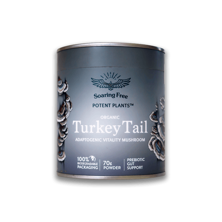 Soaring Free Potent Plants - Turkey Tail Powder - Vita Wellness